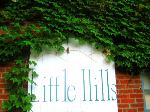 little-hills