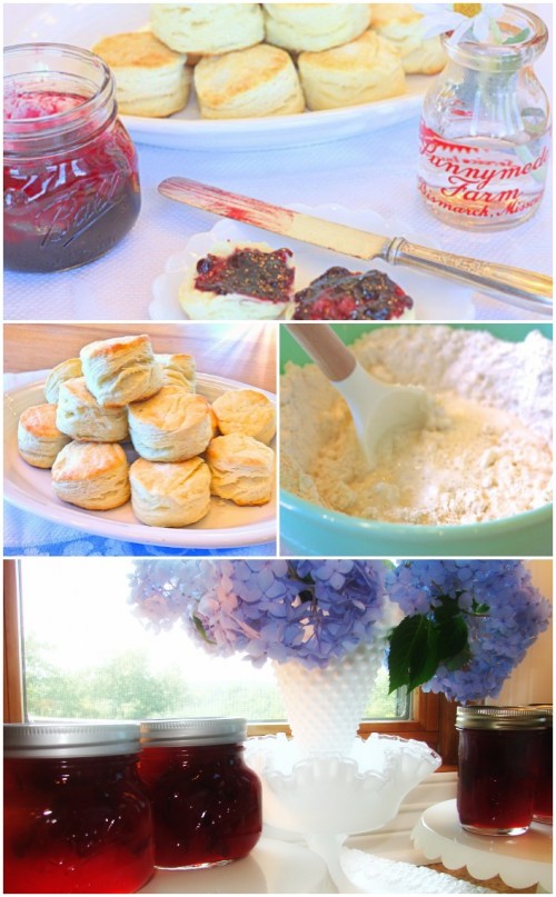 biscuits and homemade jam