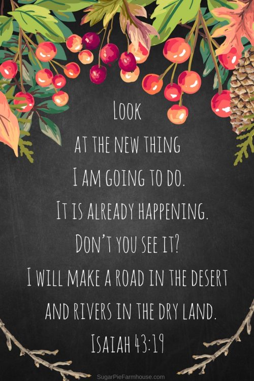 Look at the new thing I am going to do. It is already happening. Don’t you see it-I will make a road in the desert and rivers in the dry land. (1)